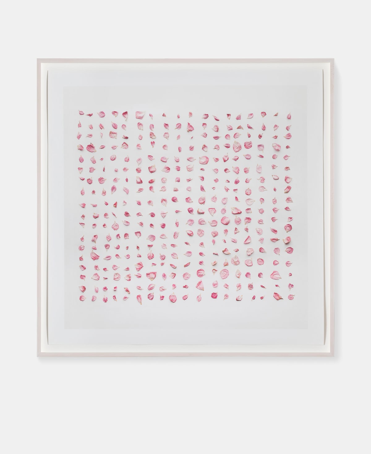 Wilma WOOLF, I collected you carefully, 2019