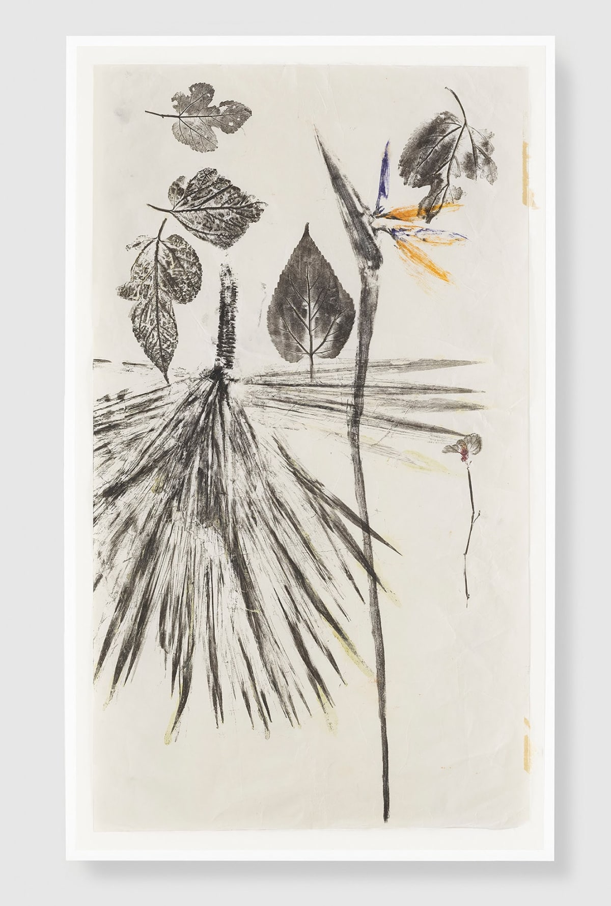 Simryn GILL, Maria's Garden Studies, 2020/2021