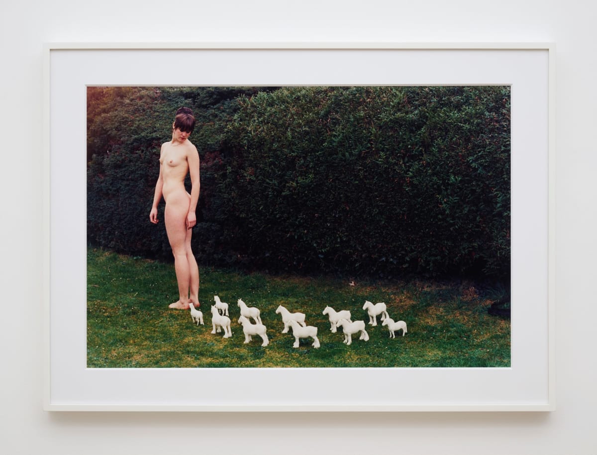 Rose ENGLISH, Untitled - Rose and Porcelain Horses, 1974/2012