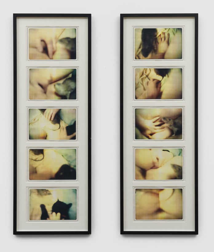 Alexis HUNTER Gender Confusion: Succubus/Incubus, 1977 10 colour Xeroxes in 2 framed panels Each: 114 x 40 cm