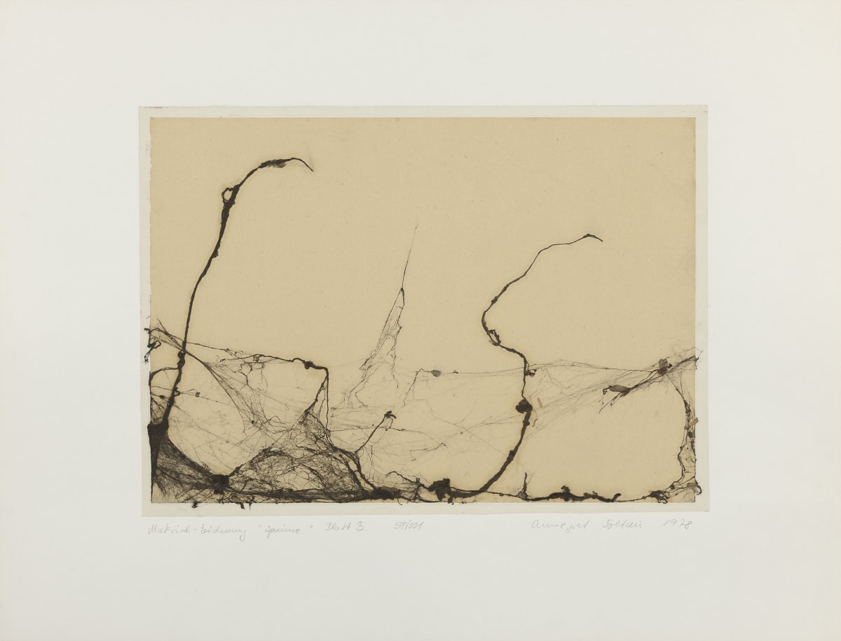 Annegret SOLTAU, Spinne (Spider), 1978