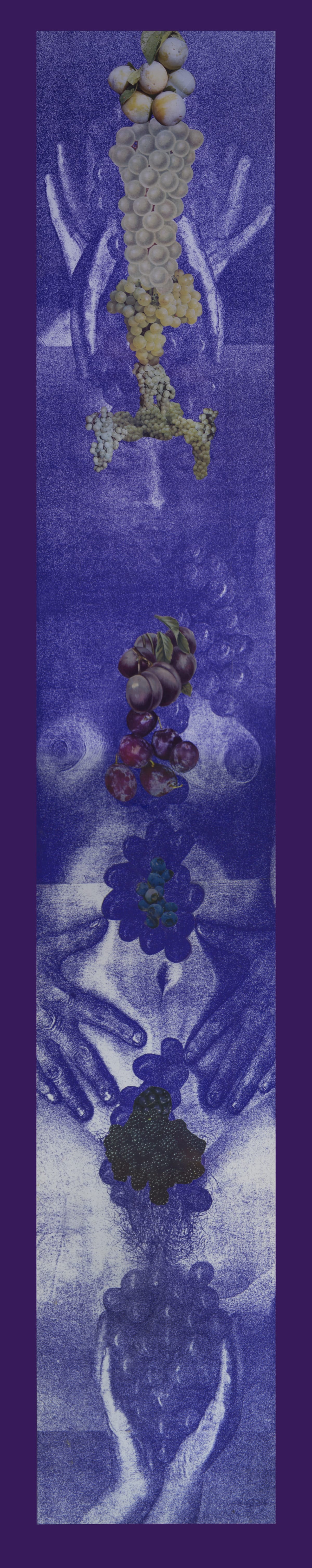 Penny SLINGER Grapevine, 1976 Silk screen from xerox self body monoprint on fine paper with collage, mounted on board with silk Image: 124.5 x 20 cm Board: 170 x 28 cm