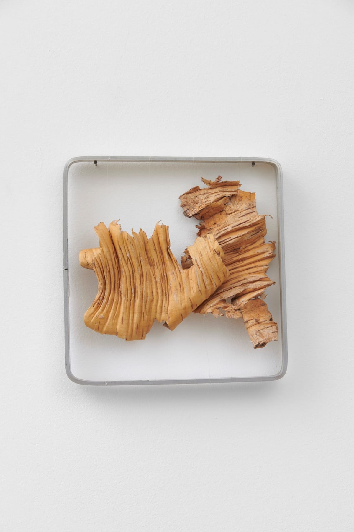 Barbara LEVITTOUX-ŚWIDERSKA, Relief II (birch bark), 1995