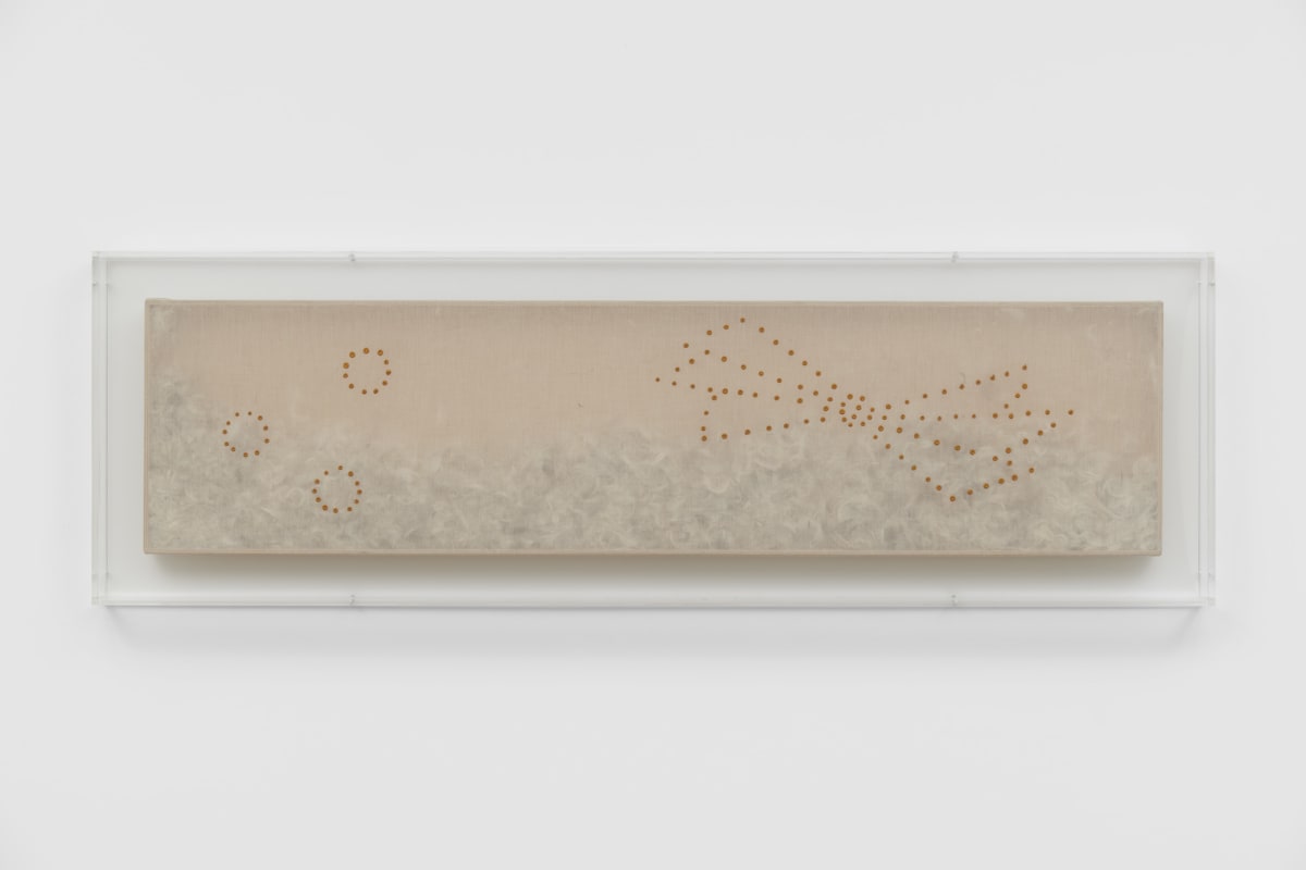 Mariella BETTINESCHI, Piumario (Feather box), 1981