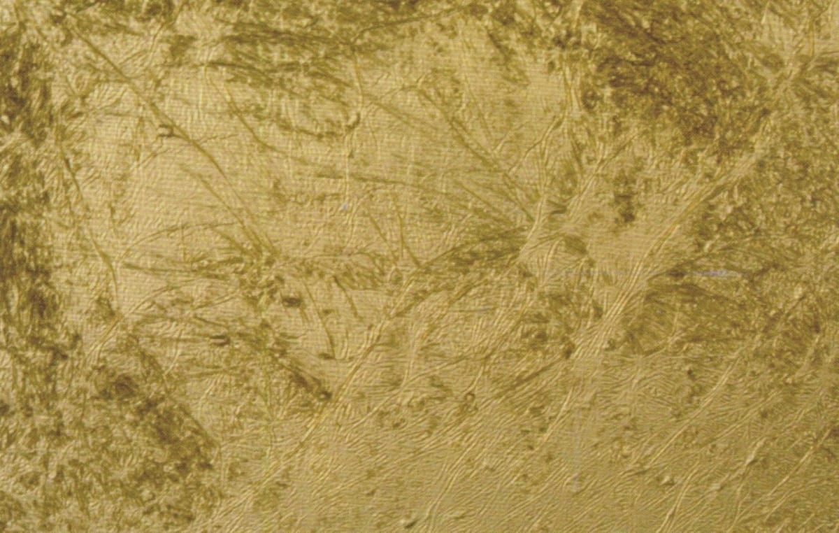 Shelagh WAKELY, aguadorado, 1993