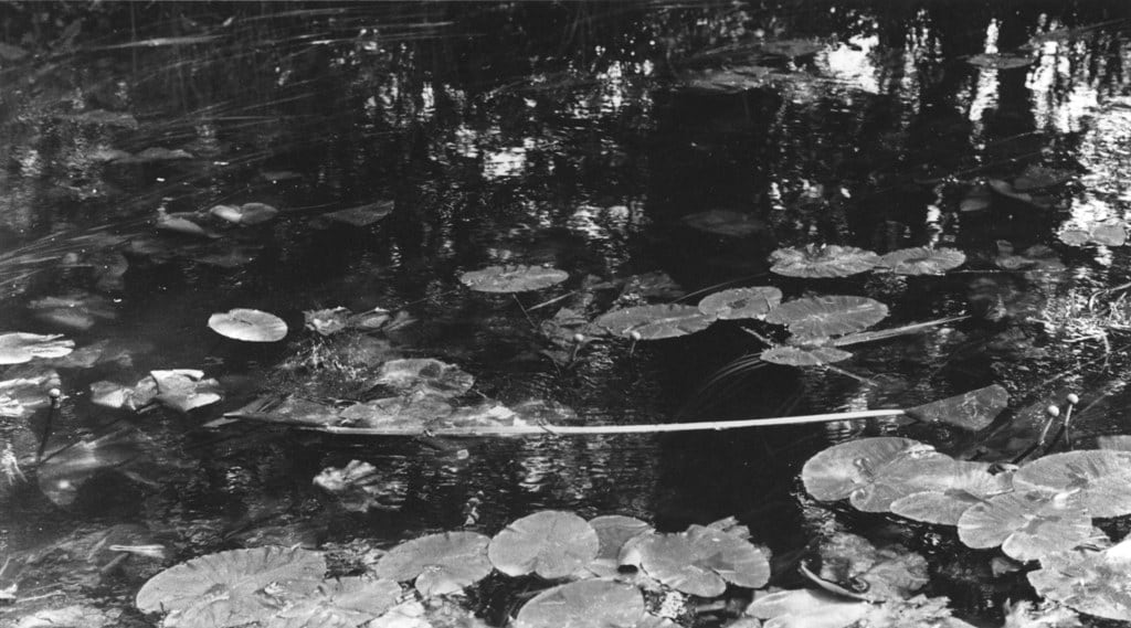 TOMIO SEIKE nude 1988 写真 Tomio Seike — W E S T O N | G A L L E R Y