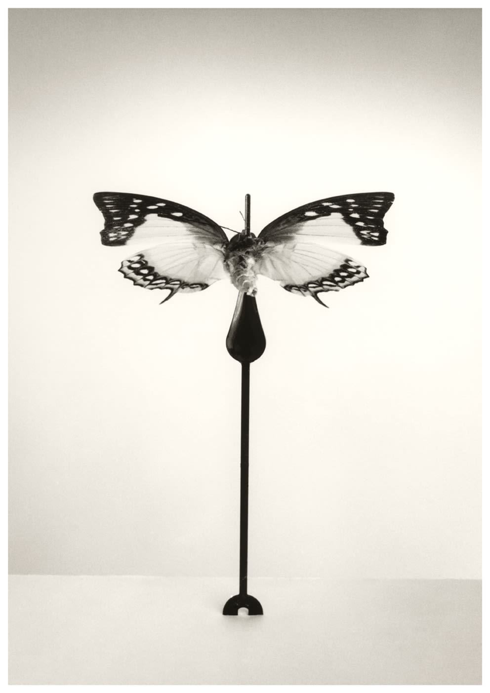 Chema Madoz - Works | Robert Klein Gallery