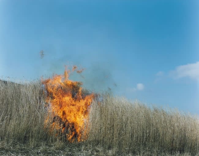 Rinko Kawauchi - Works | ROSEGALLERY Rinko Kawauchi - Works | ROSEGALLERY