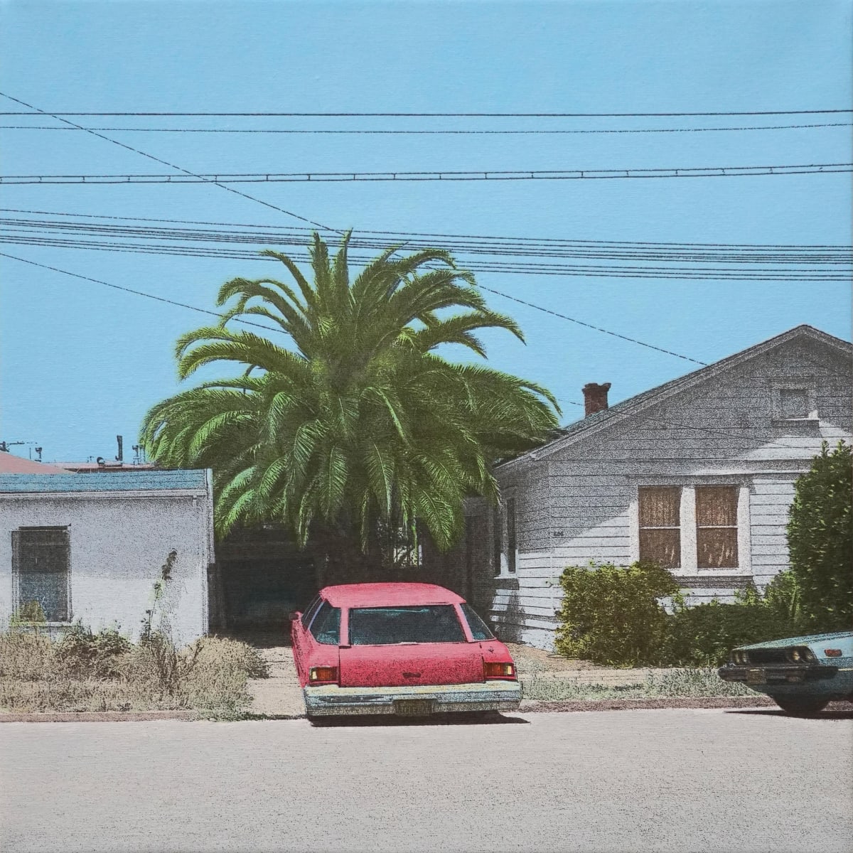 Miami Palm