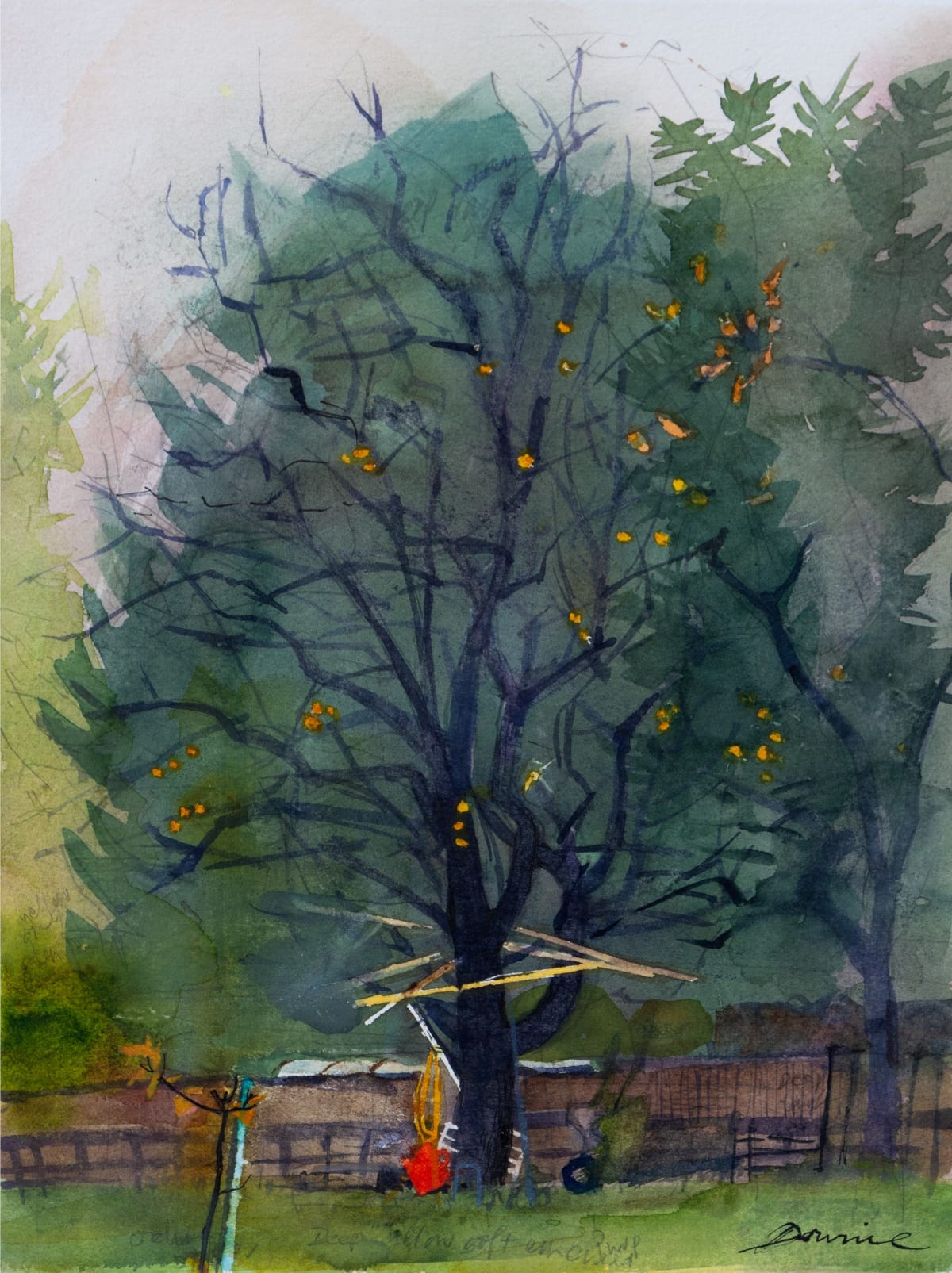 The Tool Shed Tree