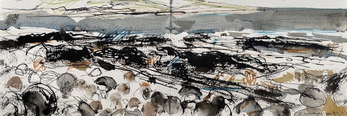 Orkney Shoreline II (Deerness)