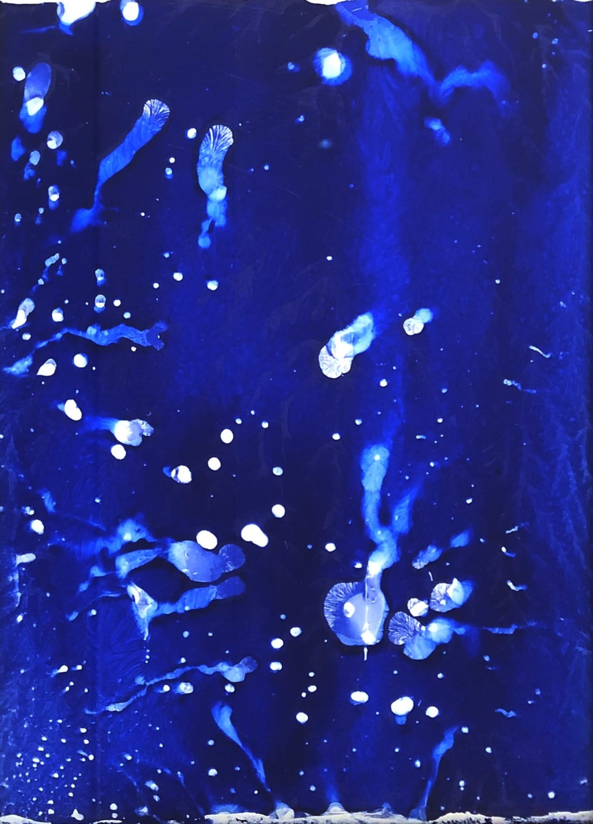 Thinking like the Earth - the mind of nature IV