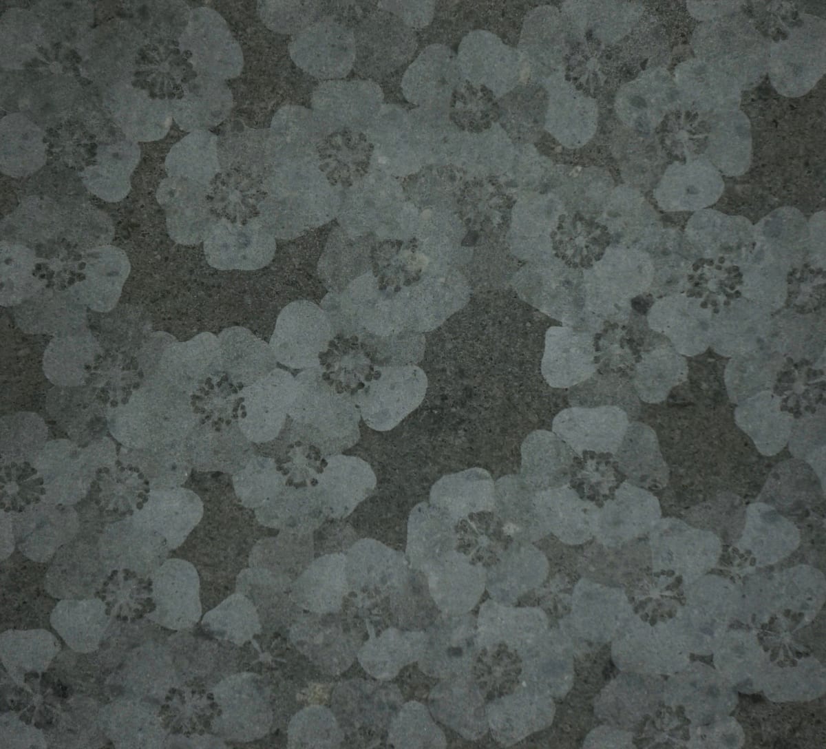 Roses I, 2018