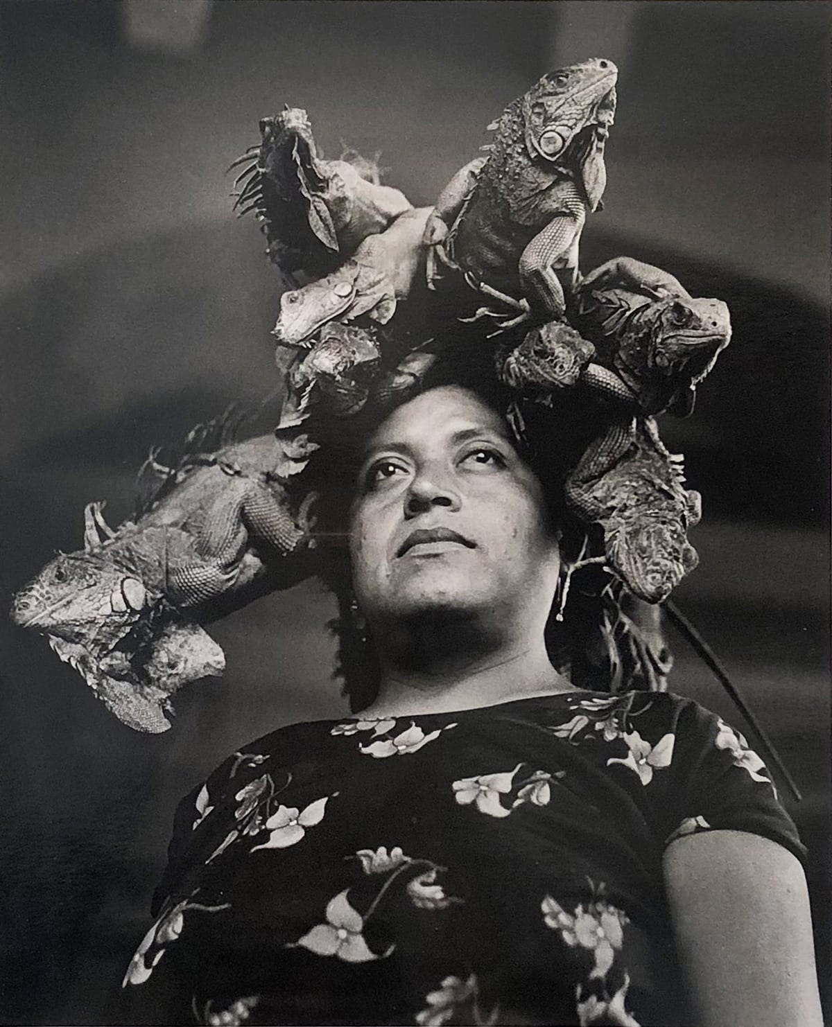人気ブランド 海外通販 - 国内入手困難 Graciela Iturbide | Ruiz-Healy Art アート・デザイン・音楽