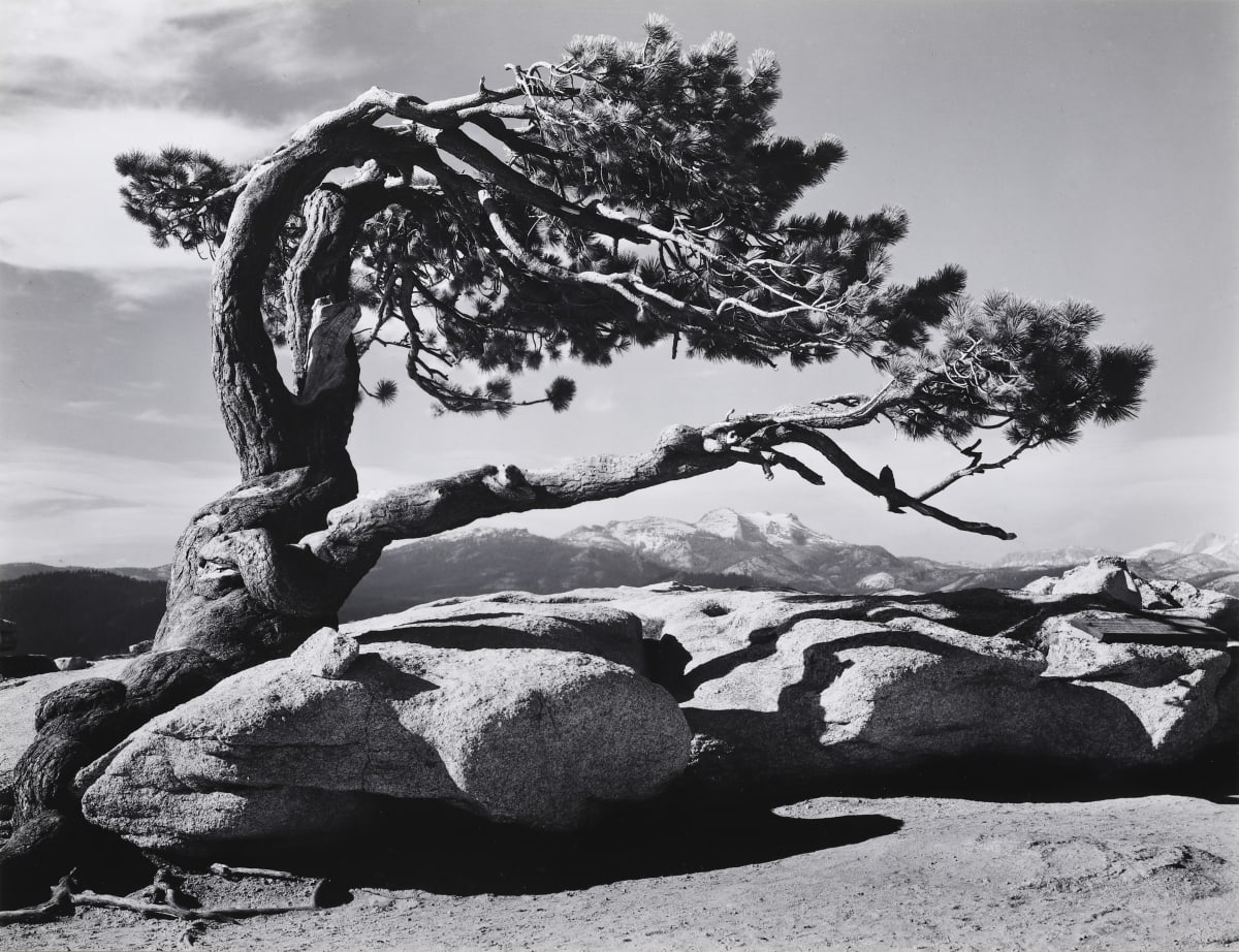 Ansel Adams | Seagrave Gallery