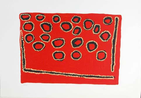 Donald Moko, Purndi Jarrpa-Framed
