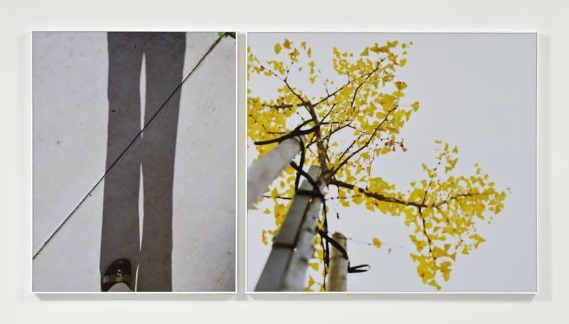 Publication: Uta Barth - Phaidon Contemporary Artists Series