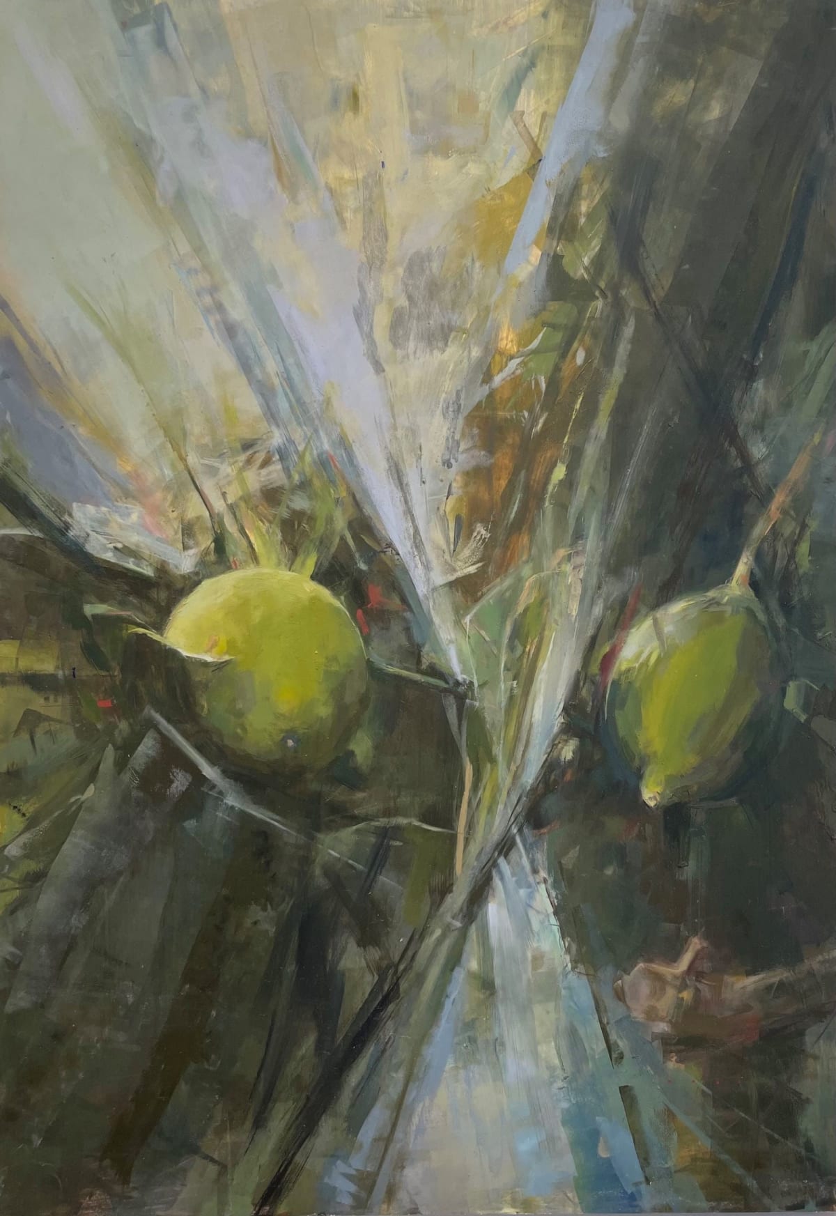 Limes, 2024