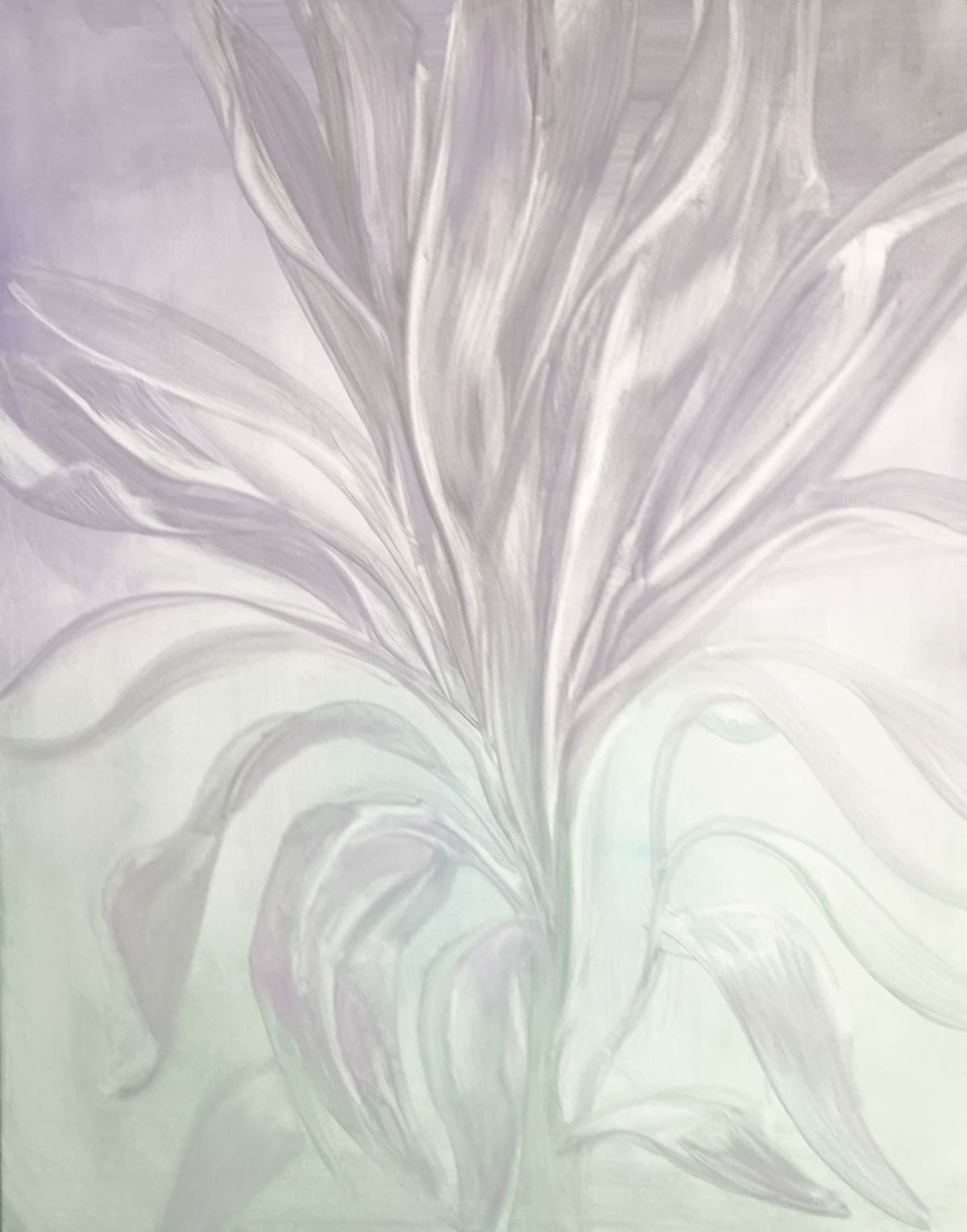 Dreamy Dawn, 2024