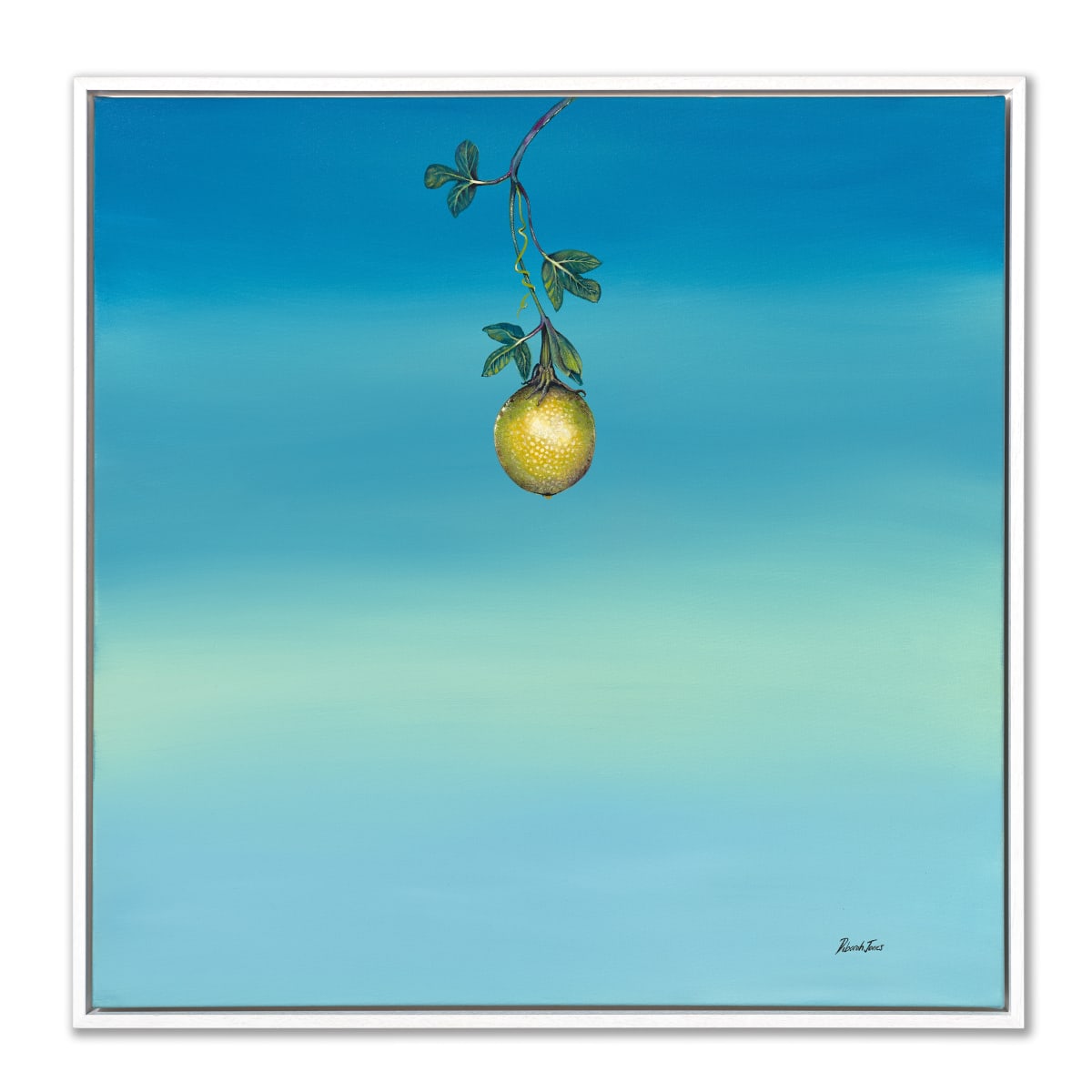 O Maracjua (The Passion Fruit), 2024
