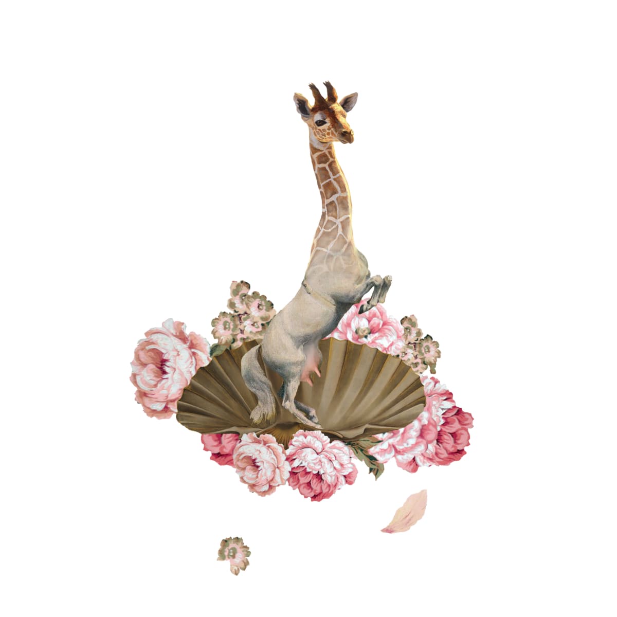 Giraphaelite, 2022