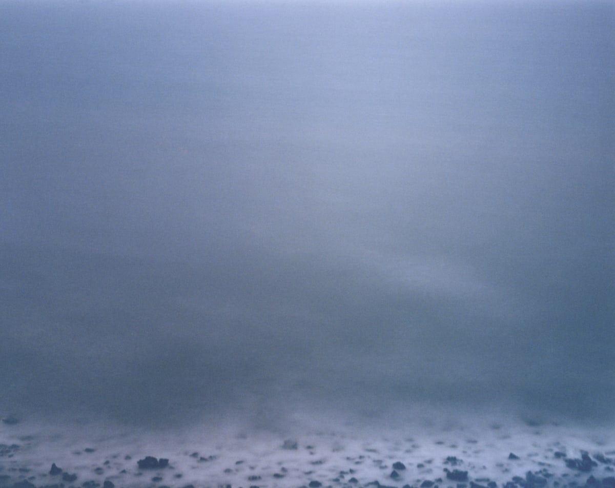 Nicholas Hughes Essays