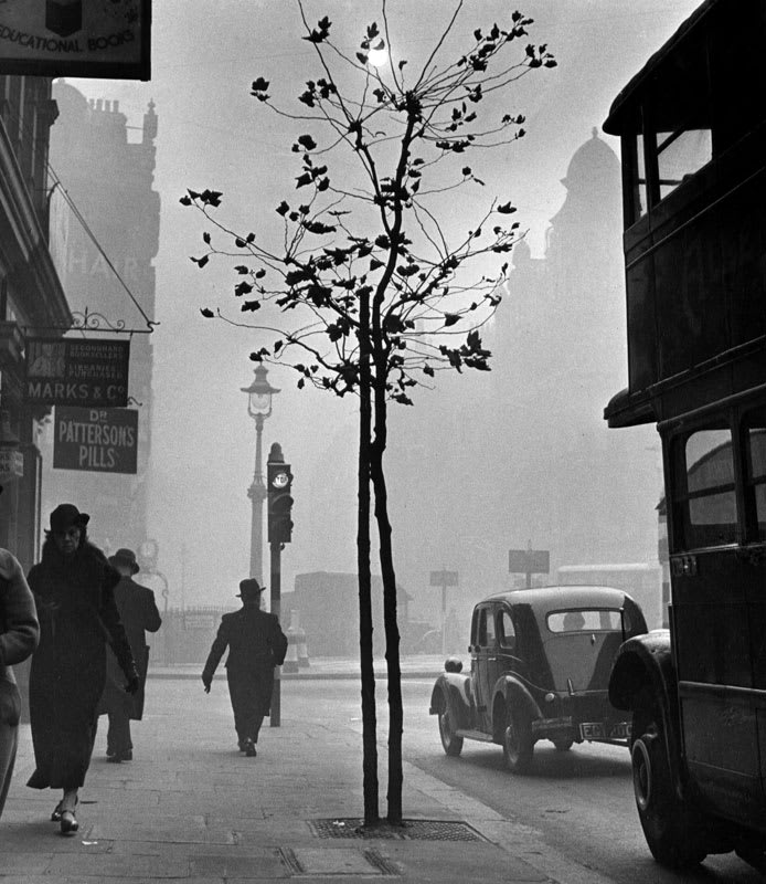84 Charing Cross Road, London (Marks & Co), 1937