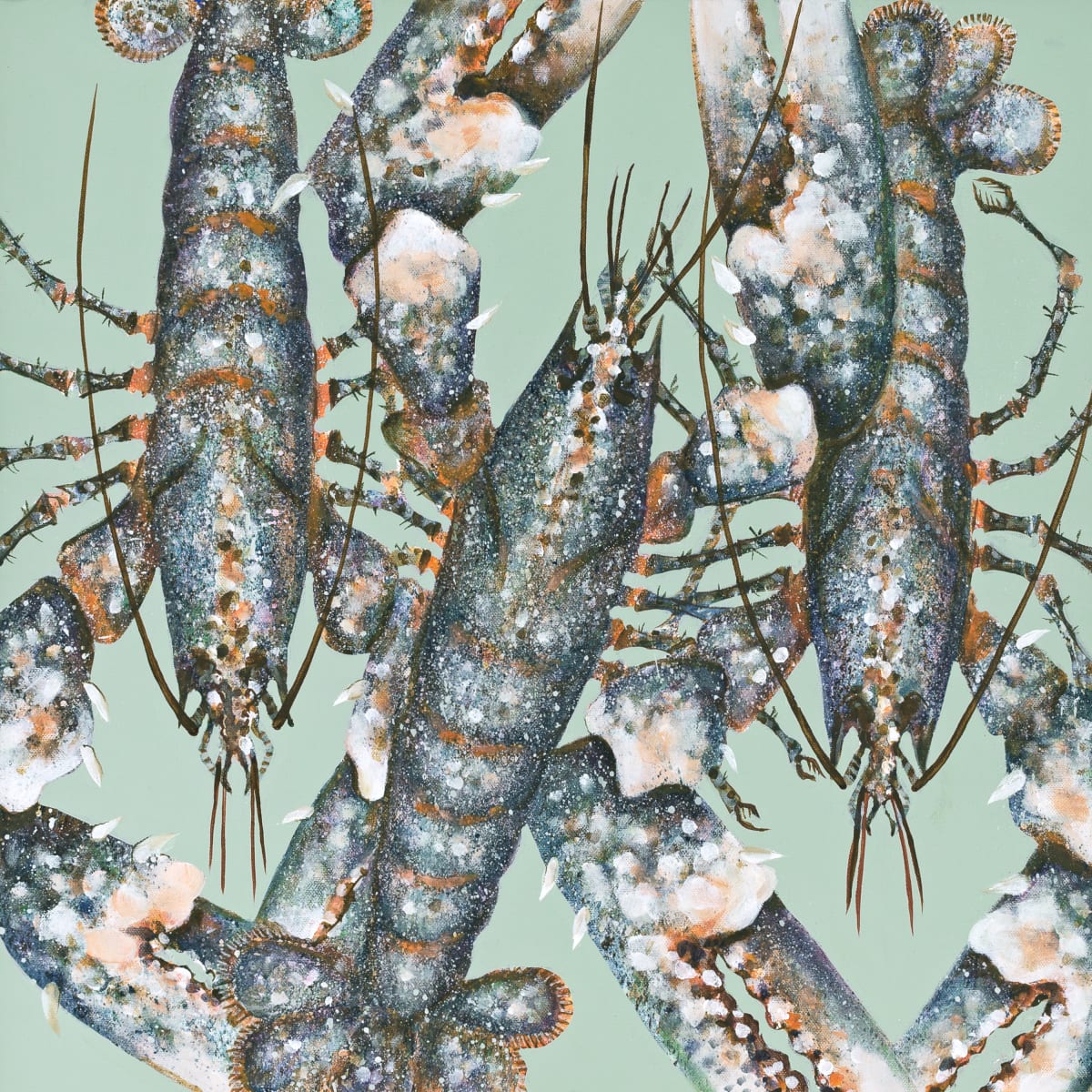 Port Isaac Lobsters