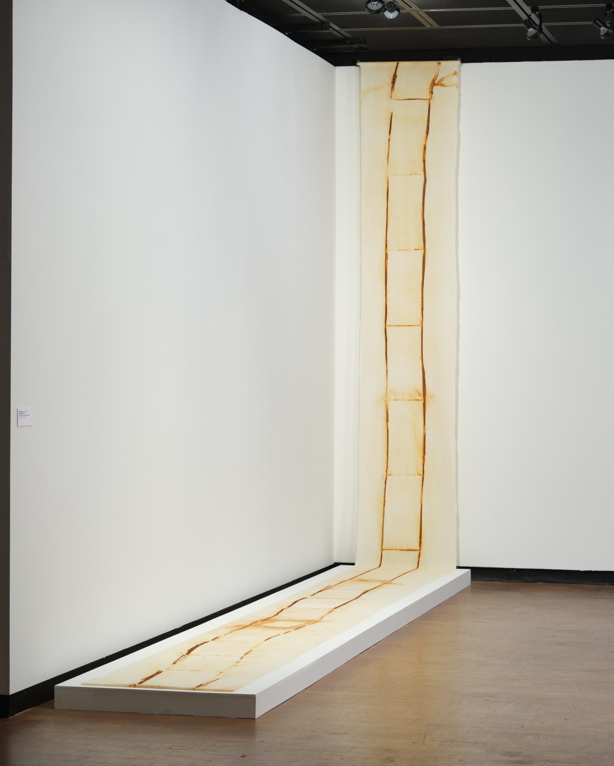 Tanya Aguiñiga acquired by the Wichita Art Museum