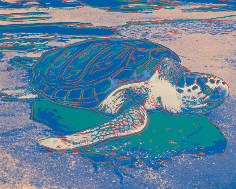 Andy Warhol Turtle (F & S II.360A), Facts | History | Meaning
