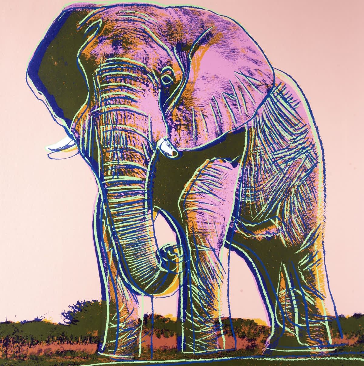 Andy Warhol's Endangered Species – Everything you need to know