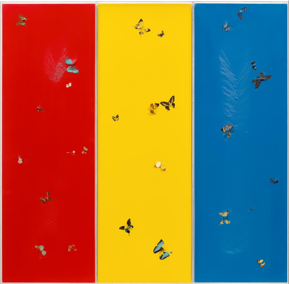 Damien Hirst Butterflies For Sale | Andipa Editions