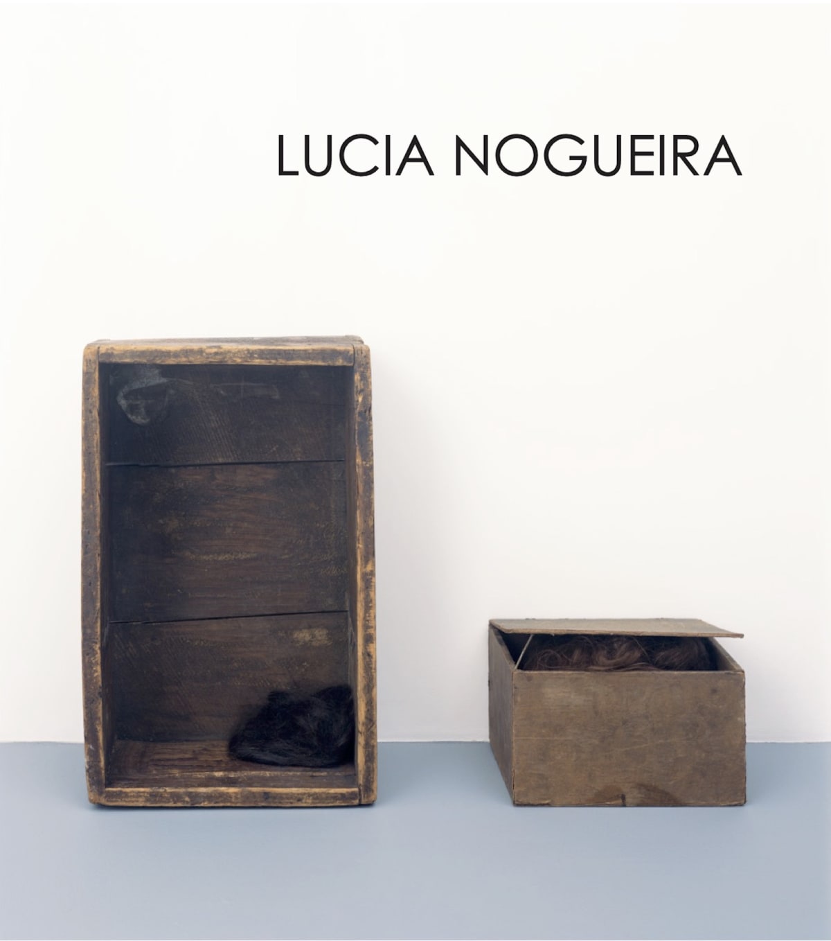 Lucia Nogueira