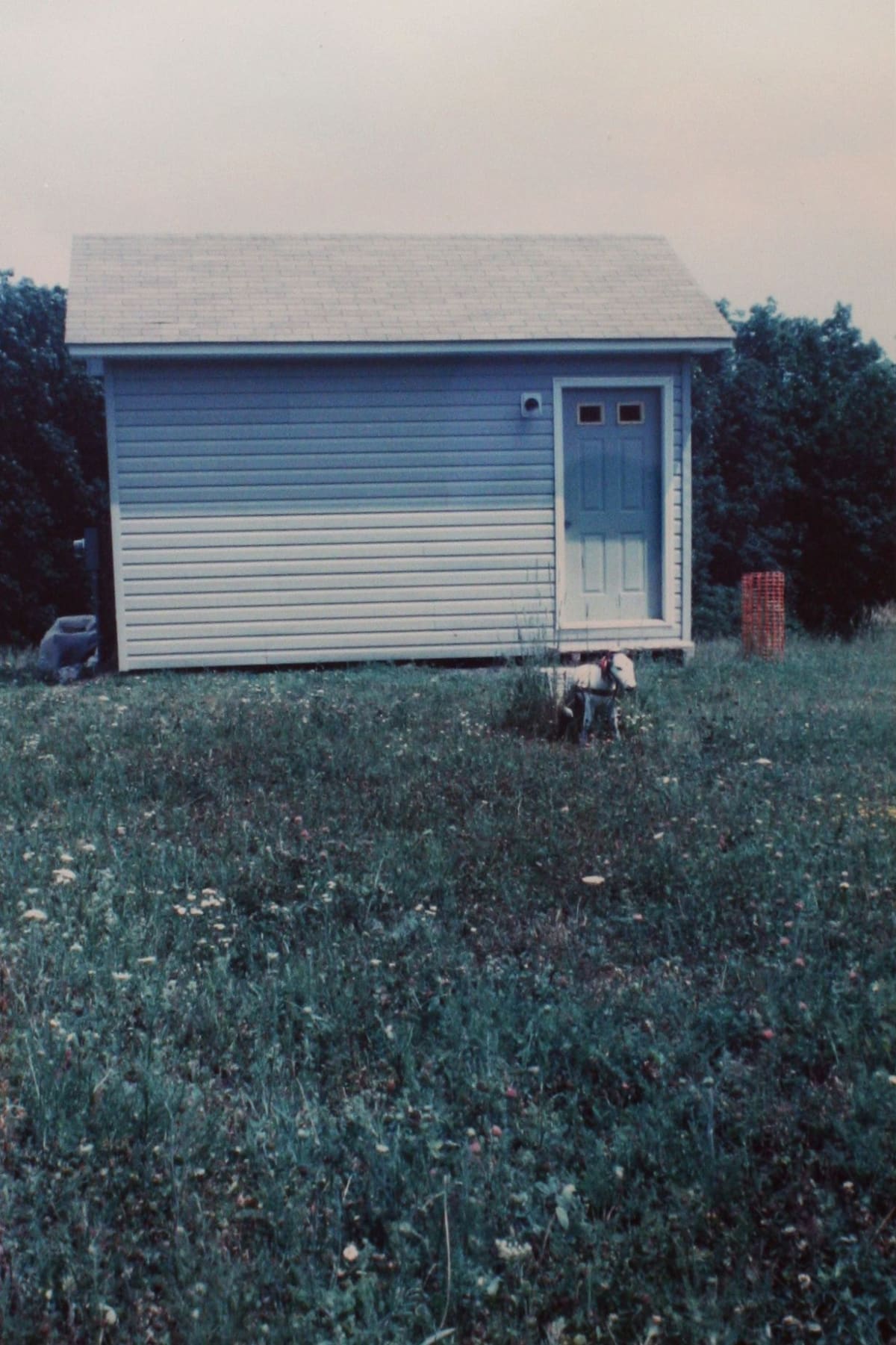 Detail of Richard Prince's work.