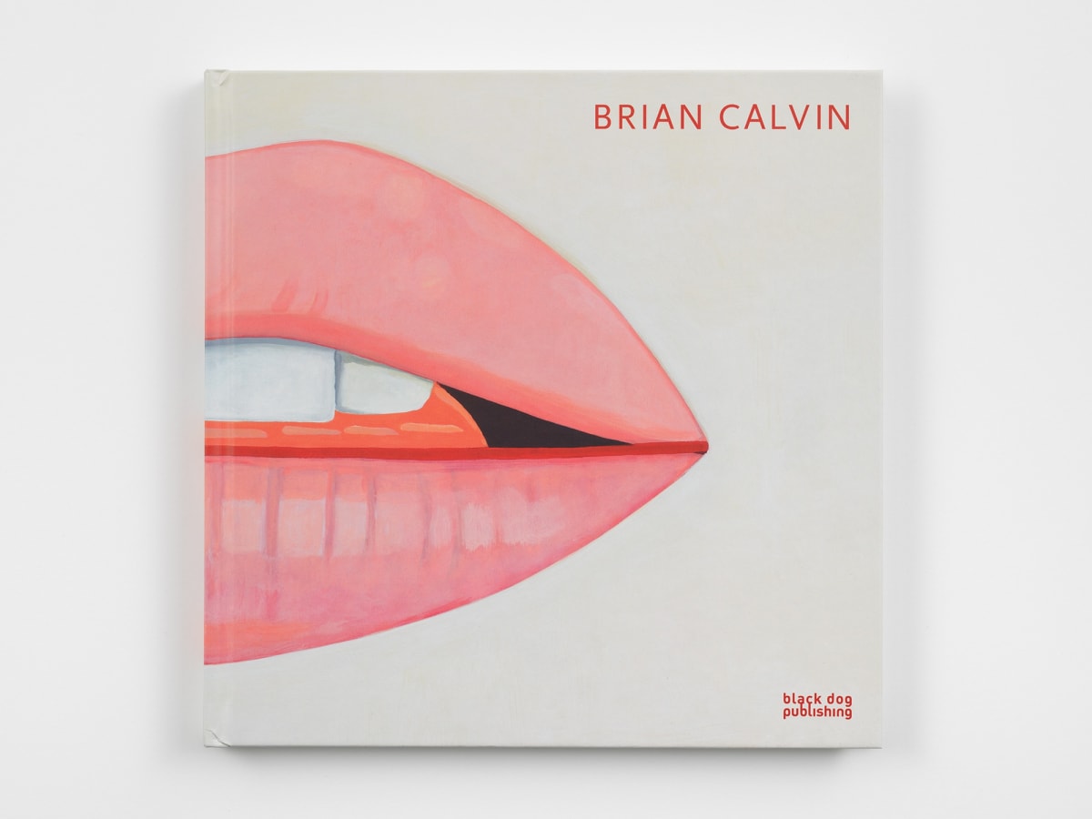 Detail of cover of Brian Calvin work.