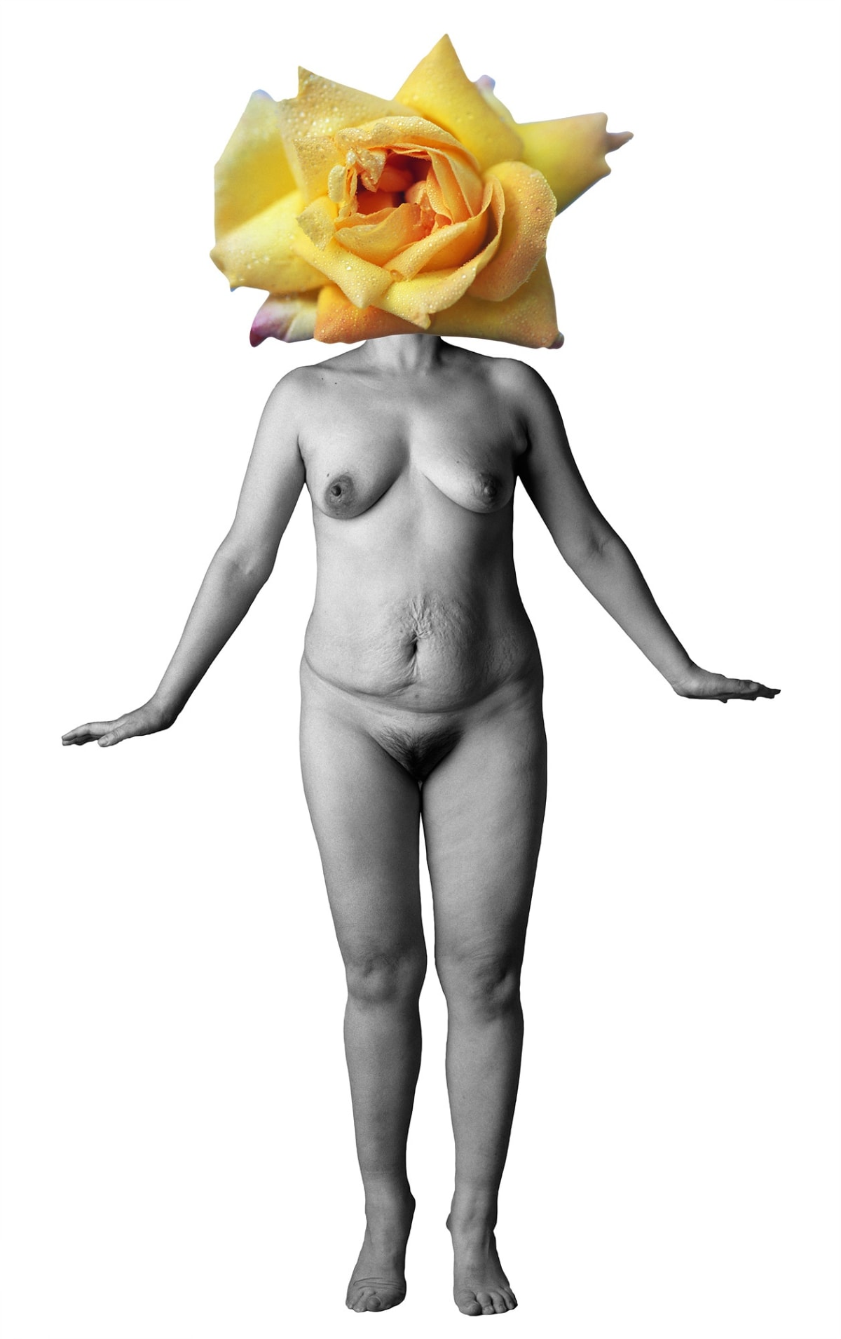 [News] The first week of September is the art fair season...Kiaf · Frieze opens in Seoul on the 4th