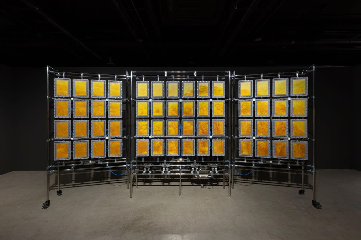 Photos More Beautiful and Unique Without Color… BEAK Jungki's Exhibition at Arario Museum