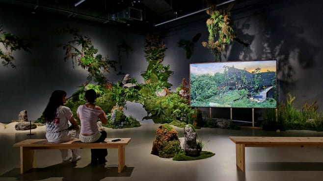 Storage Story: Containing Memories and Expanding Narratives through Photography