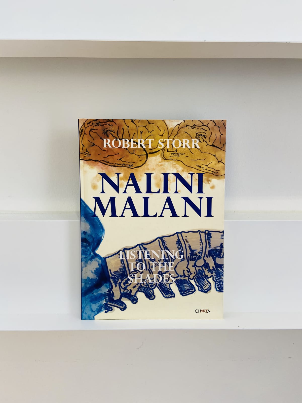 Nalini Malani: LISTENING TO THE SHADES