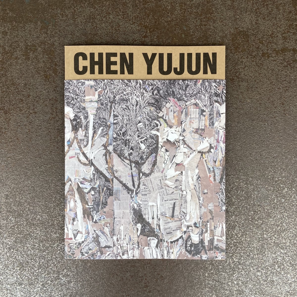 CHEN Yujun: Each Single Self