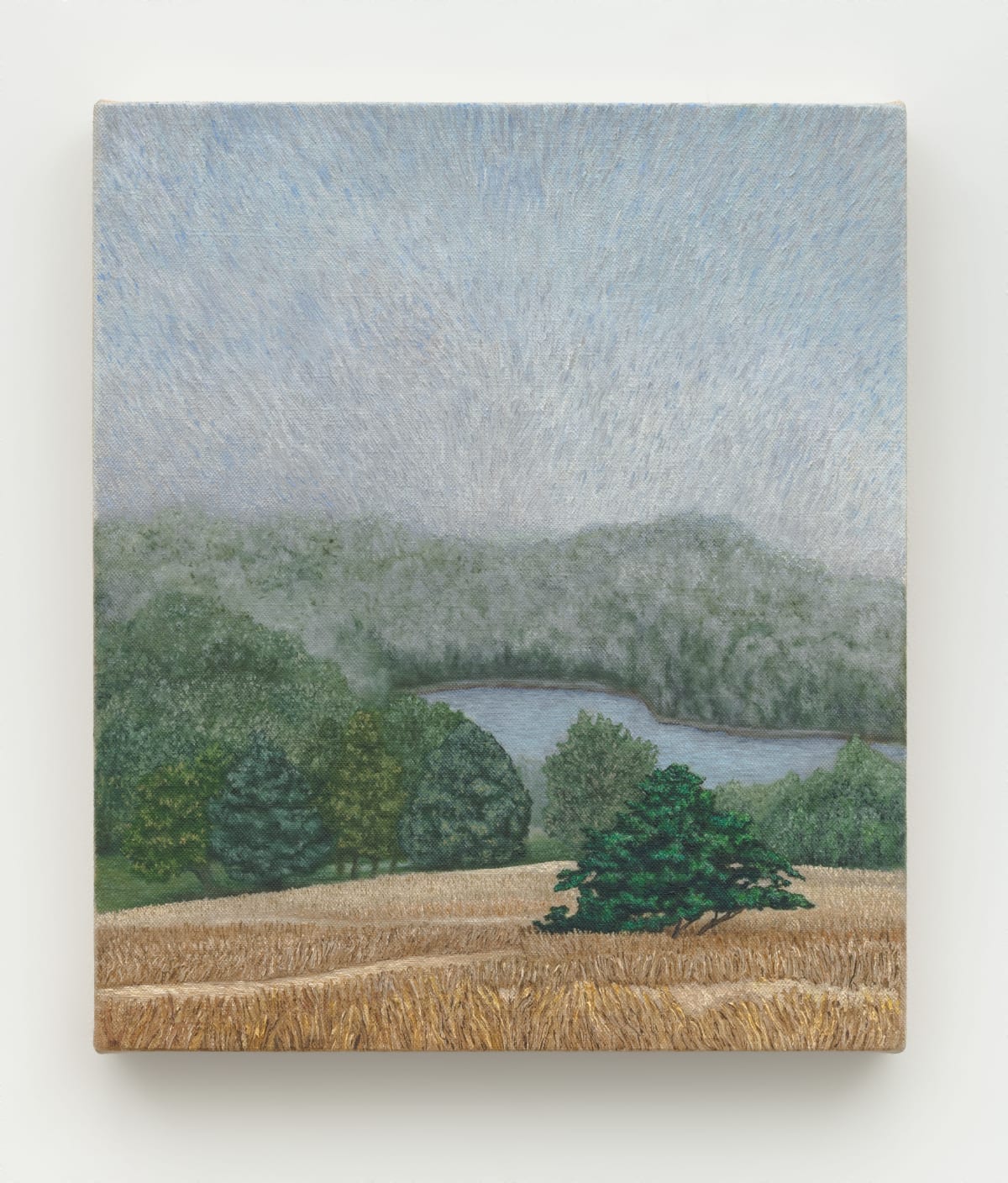 Pam Posey: Field Trip