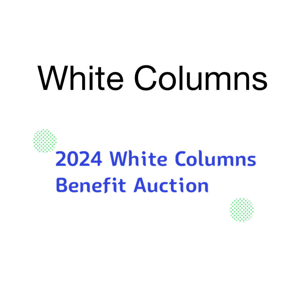 Sarah Mikenis in 2024 White Columns Benefit Auction