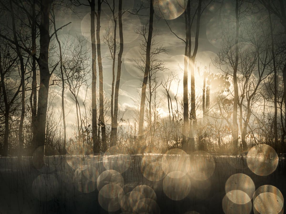Works - TODD HIDO | Casemore Gallery