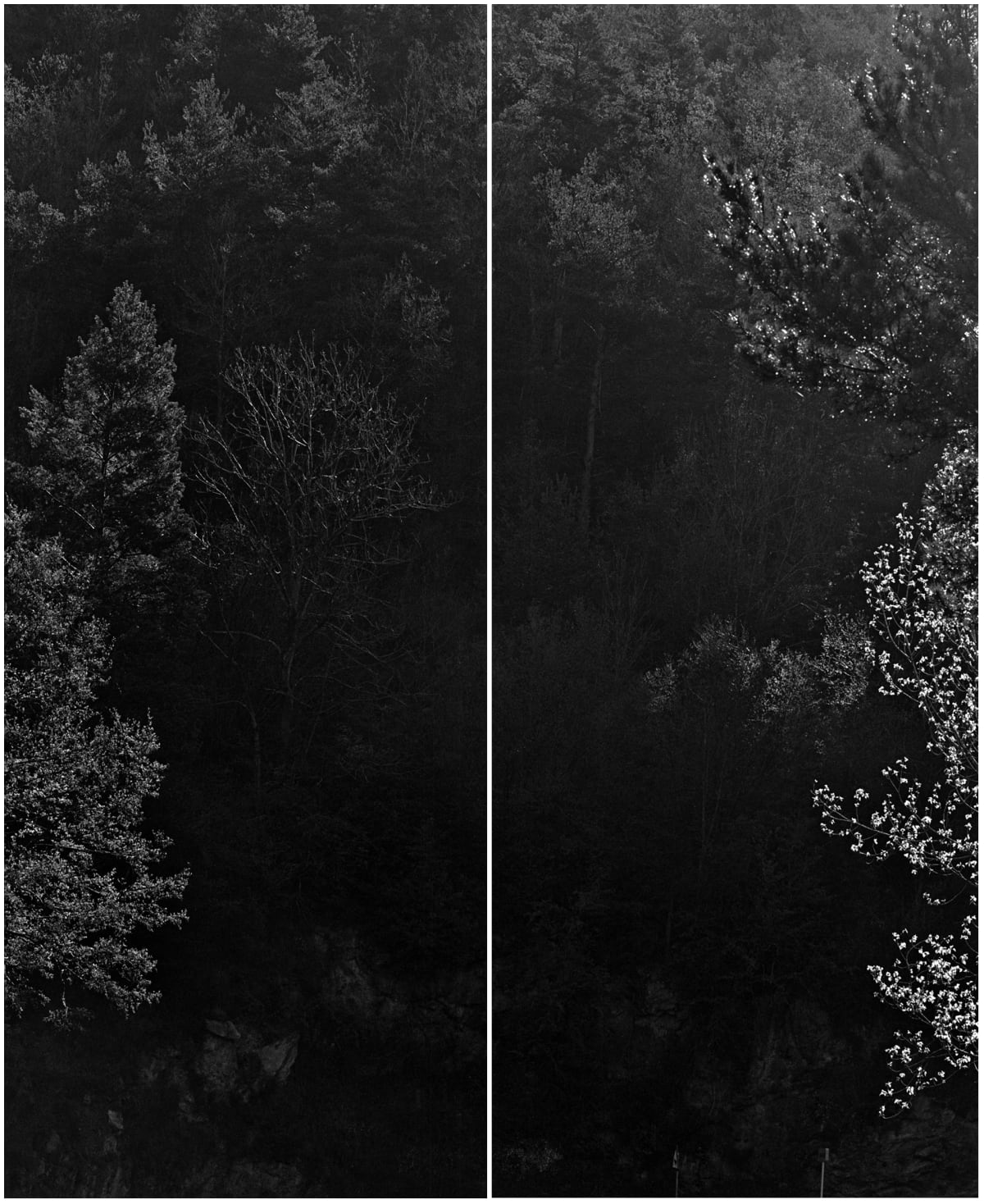 Awoiska van der Molen - Overview | Casemore Gallery
