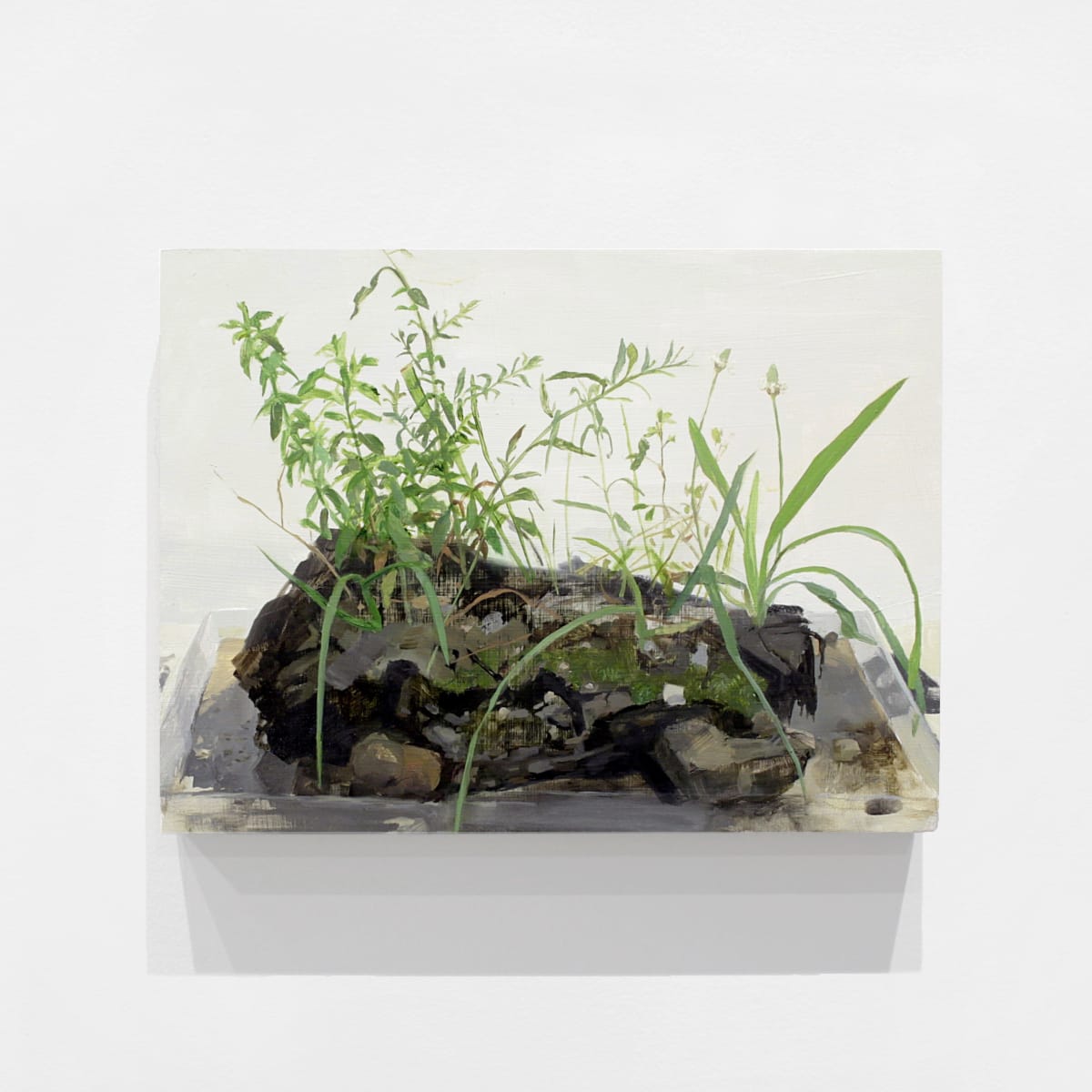 Kristin Musgnug: Disturbed Ground