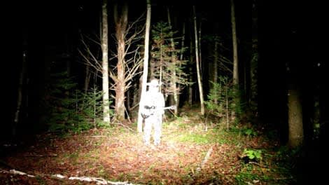 Lilly McElroy: The Rhinestone Cowboy Sings in the Woods