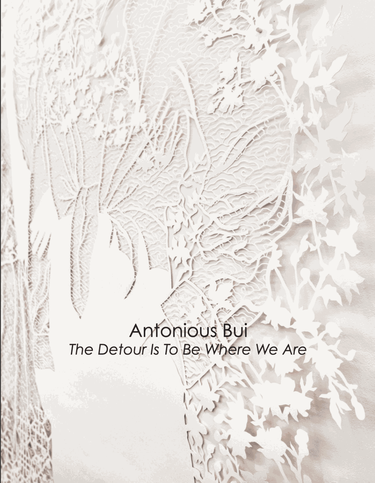 Antonius Bui: The Detour Is To Be Where We Are