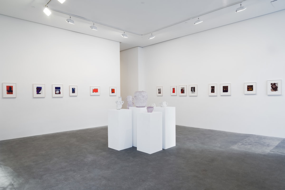 Installation view from Beverly Semmes's "FRP" exhibition at Susan Inglett Gallery