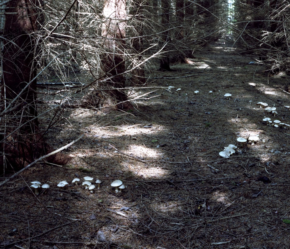 Takashi Homma | Nonaka-Hill