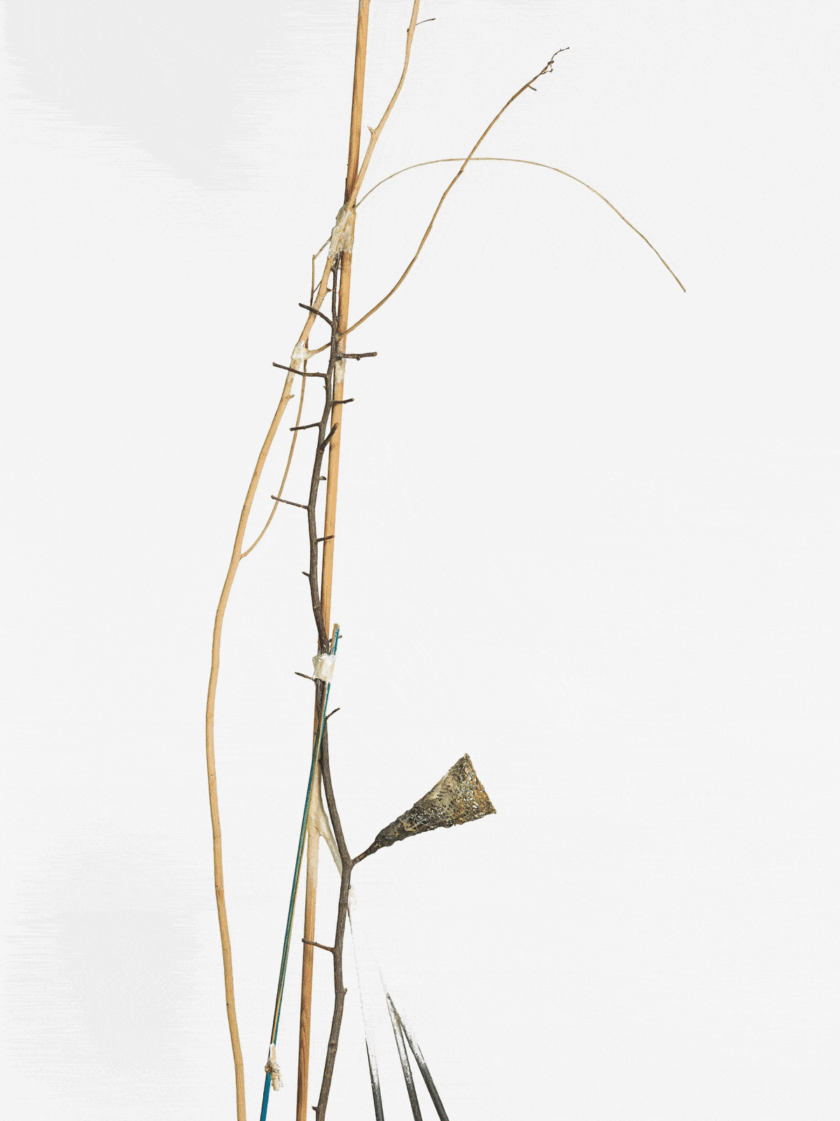 Improvisations Fereydoun Ave | Shaqayeq Arabi | Raana Farnoud